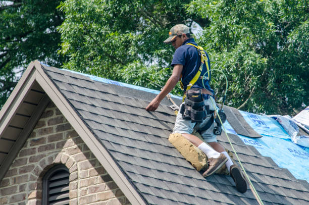 Best New Roof Installation  in Kahului, HI